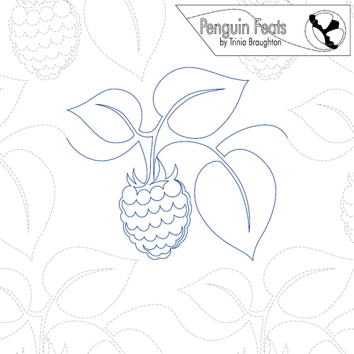 Outline of a raspberry with leaves on a white background, featuring the 'Penguin Feats' logo.
