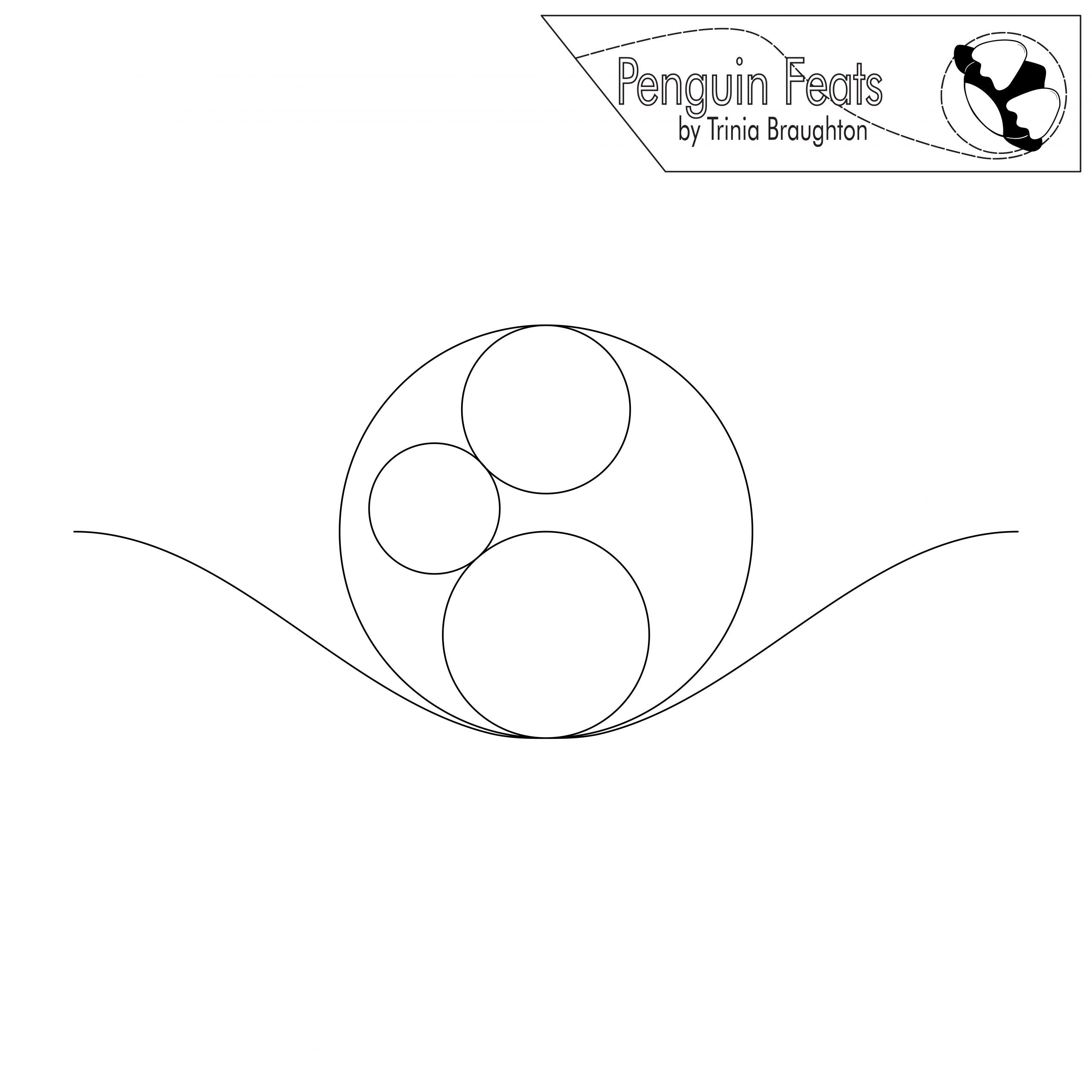 Outline of multiple circles on a wave with 'Penguin Feats' logo at the top