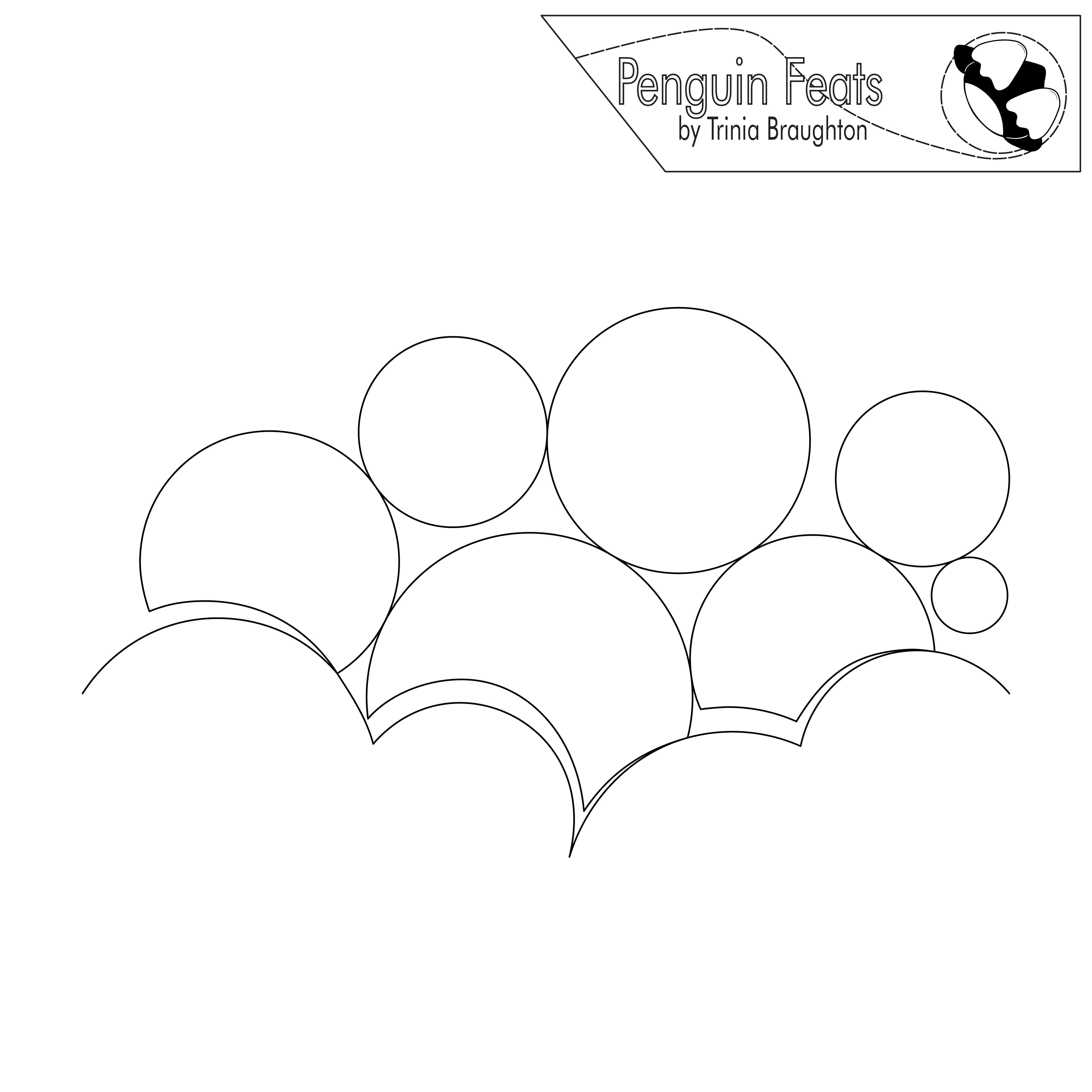 Sudsy Digital Quilting Design