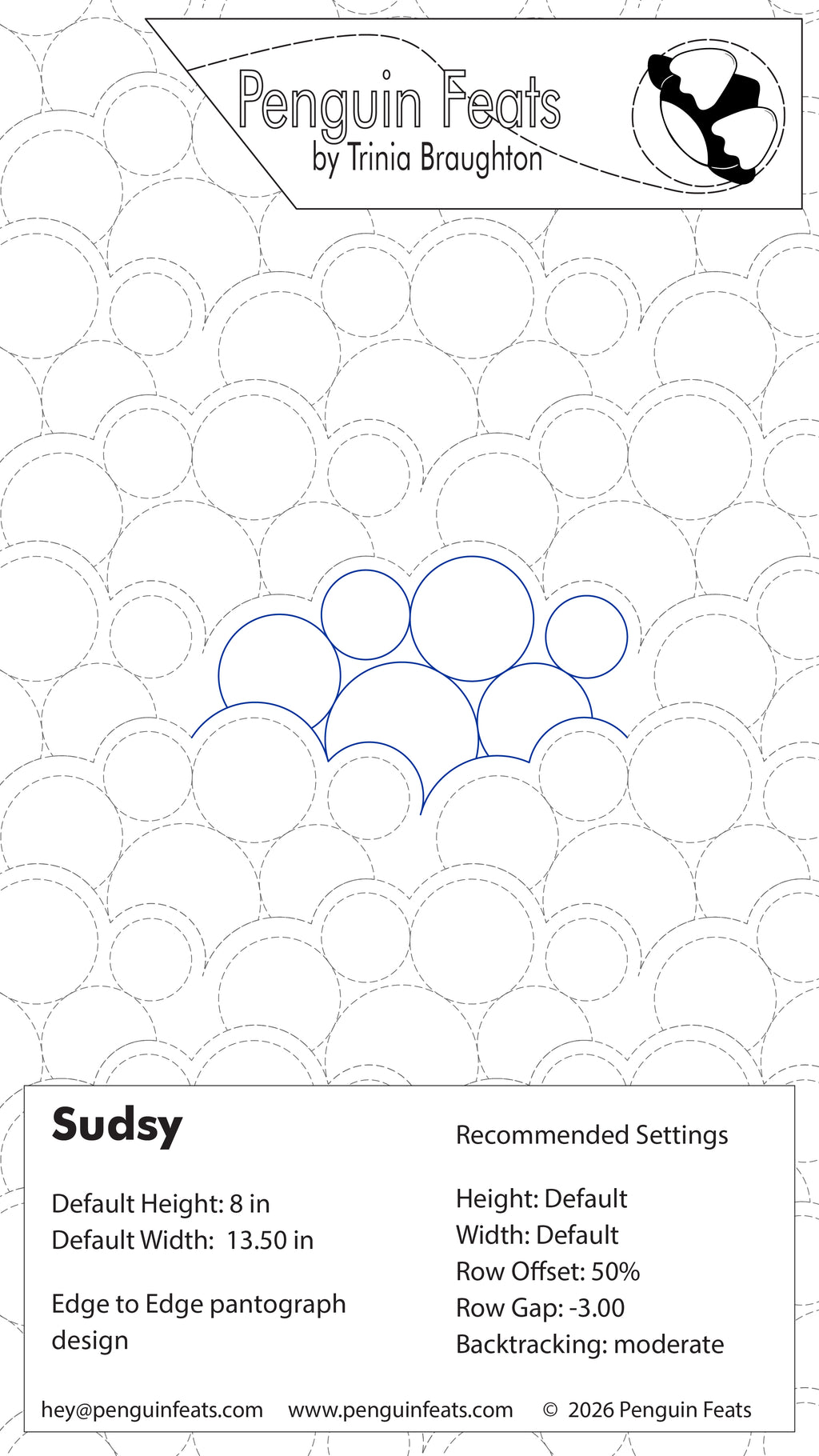 Sudsy Digital Quilting Design