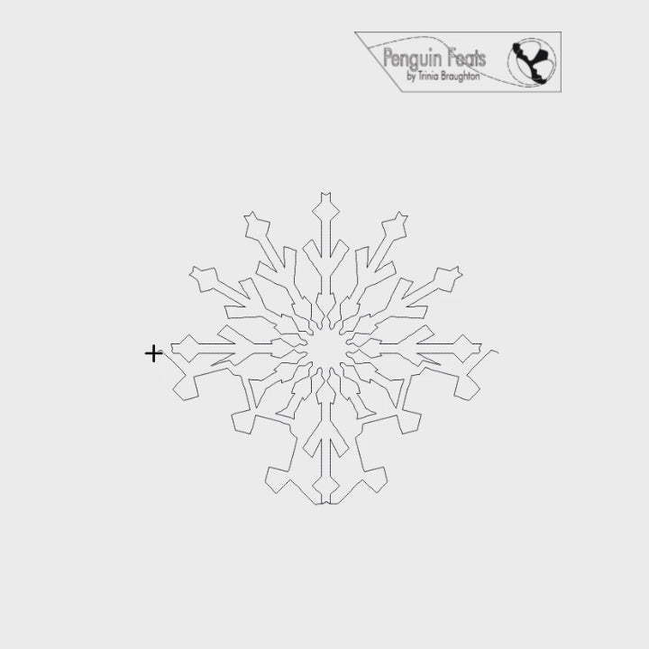 Frosty Digital Quilting Design