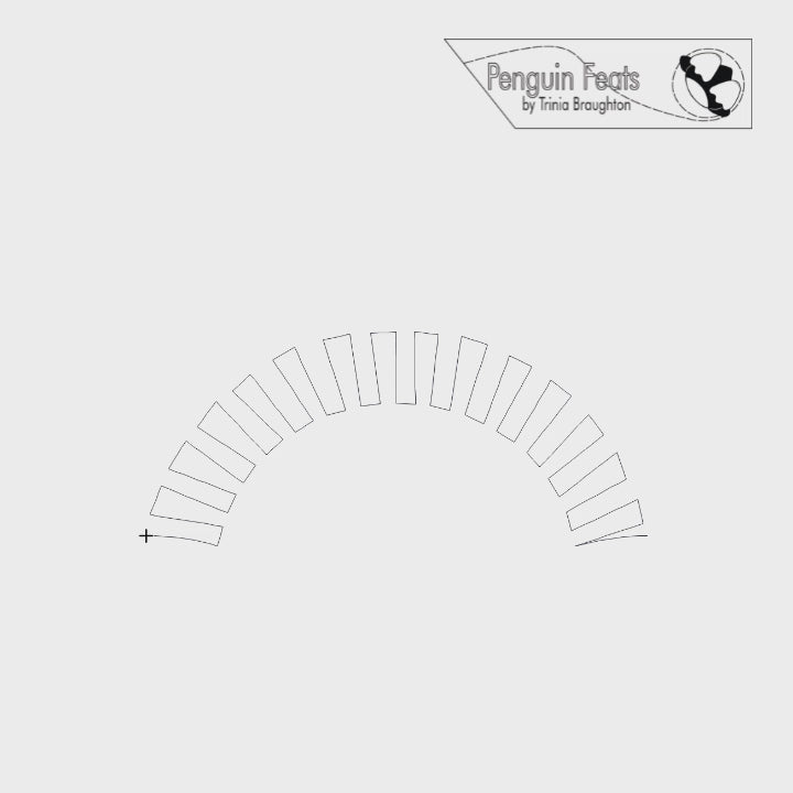 Segmental Digital Quilting Design