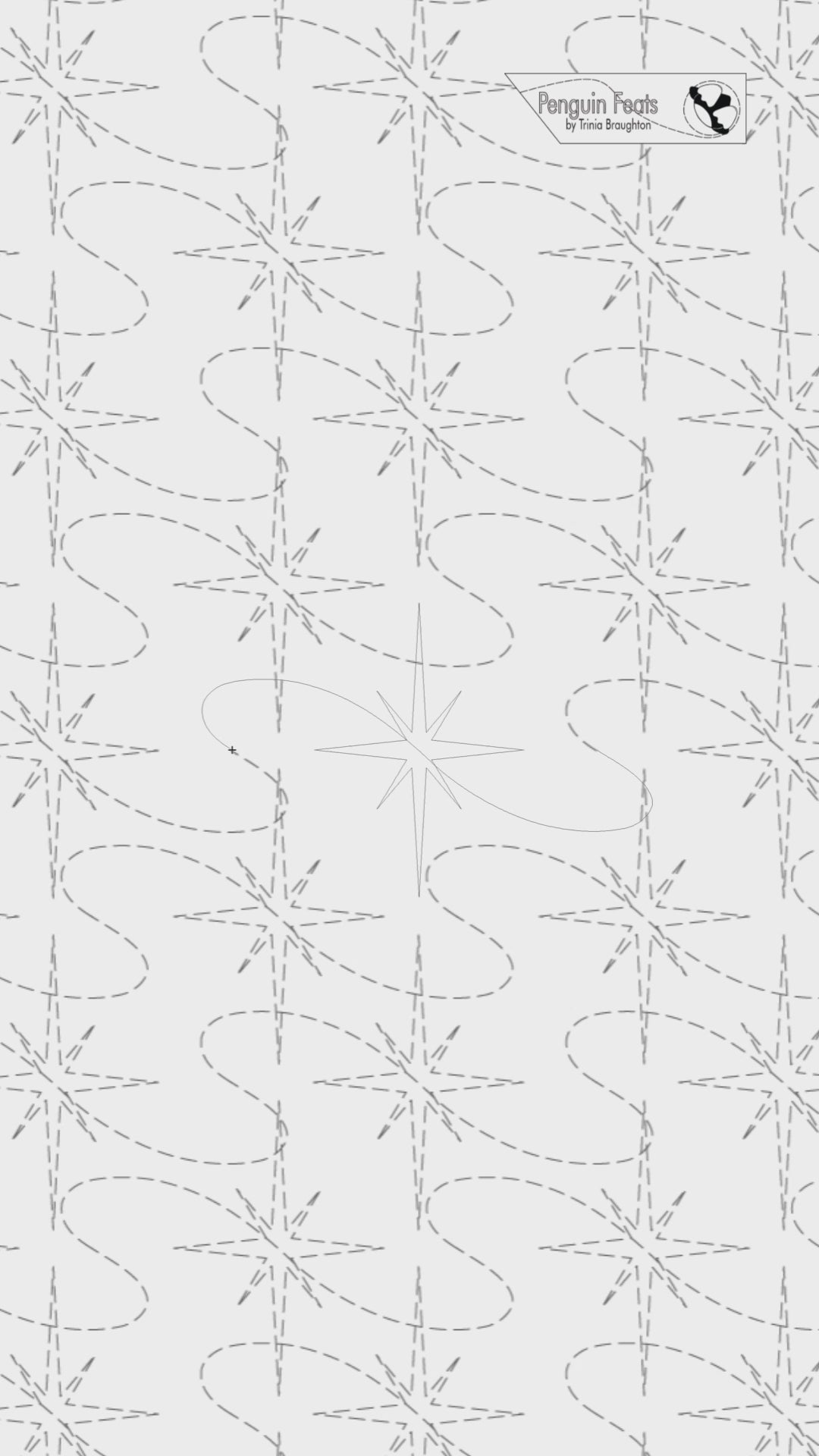 Stellar Digital Quilting Design